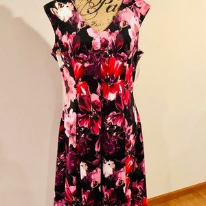 💐NWT! Gorgeous Danny & Nicole Dress💐